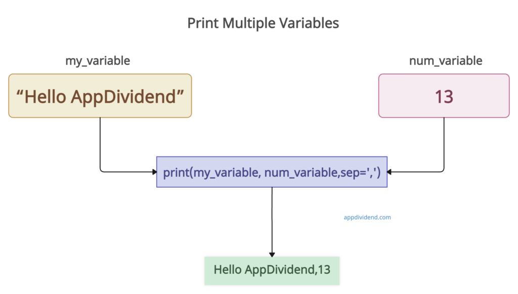 Visual Representation of Python Print Multiple Variables