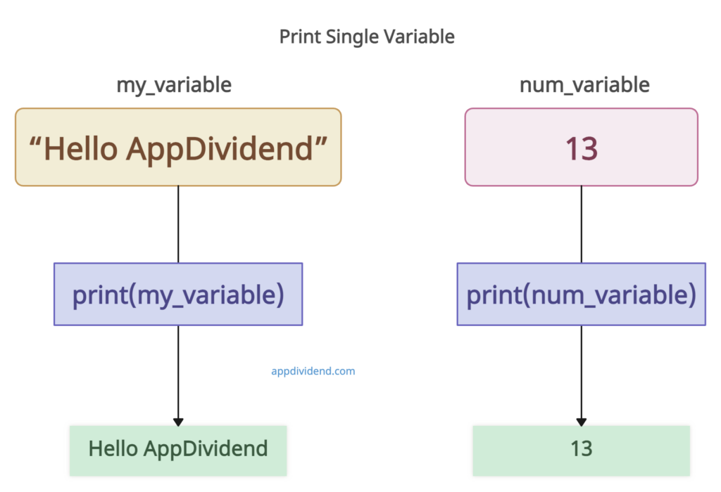 Visual Representation of Python Print Single Variable