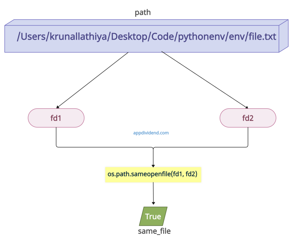 Visual Representation of Python os.path.sameopenfile() Method