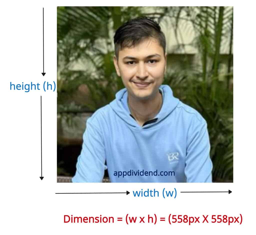 Image's width and height