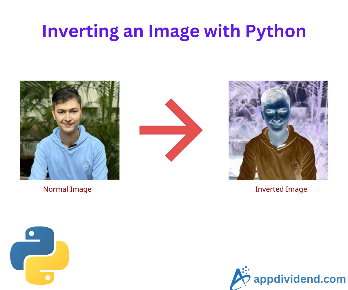 Inverting an Image with Python