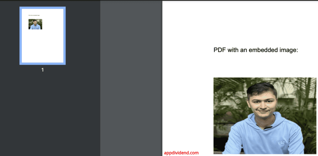 reportlab_image_pdf