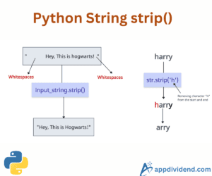 Python String strip() Method