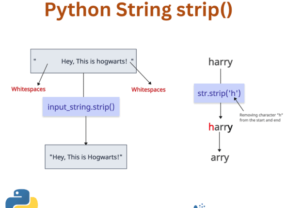 Python String strip() Method