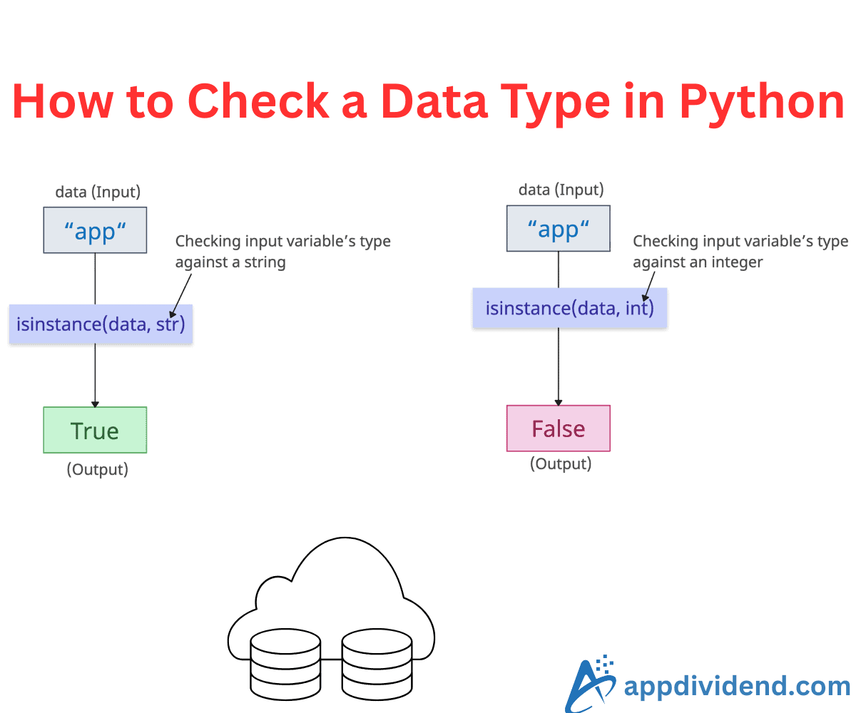 How to Check a Data Type in Python