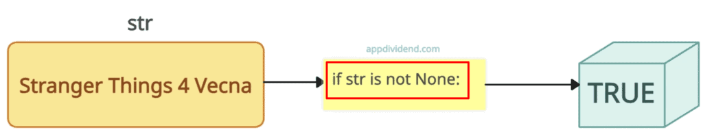 is not null in Python